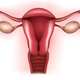Illustration for article titled More Body Fat Increases Ovarian Cancer Risk